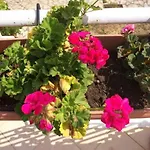 Sunny Lägenhet